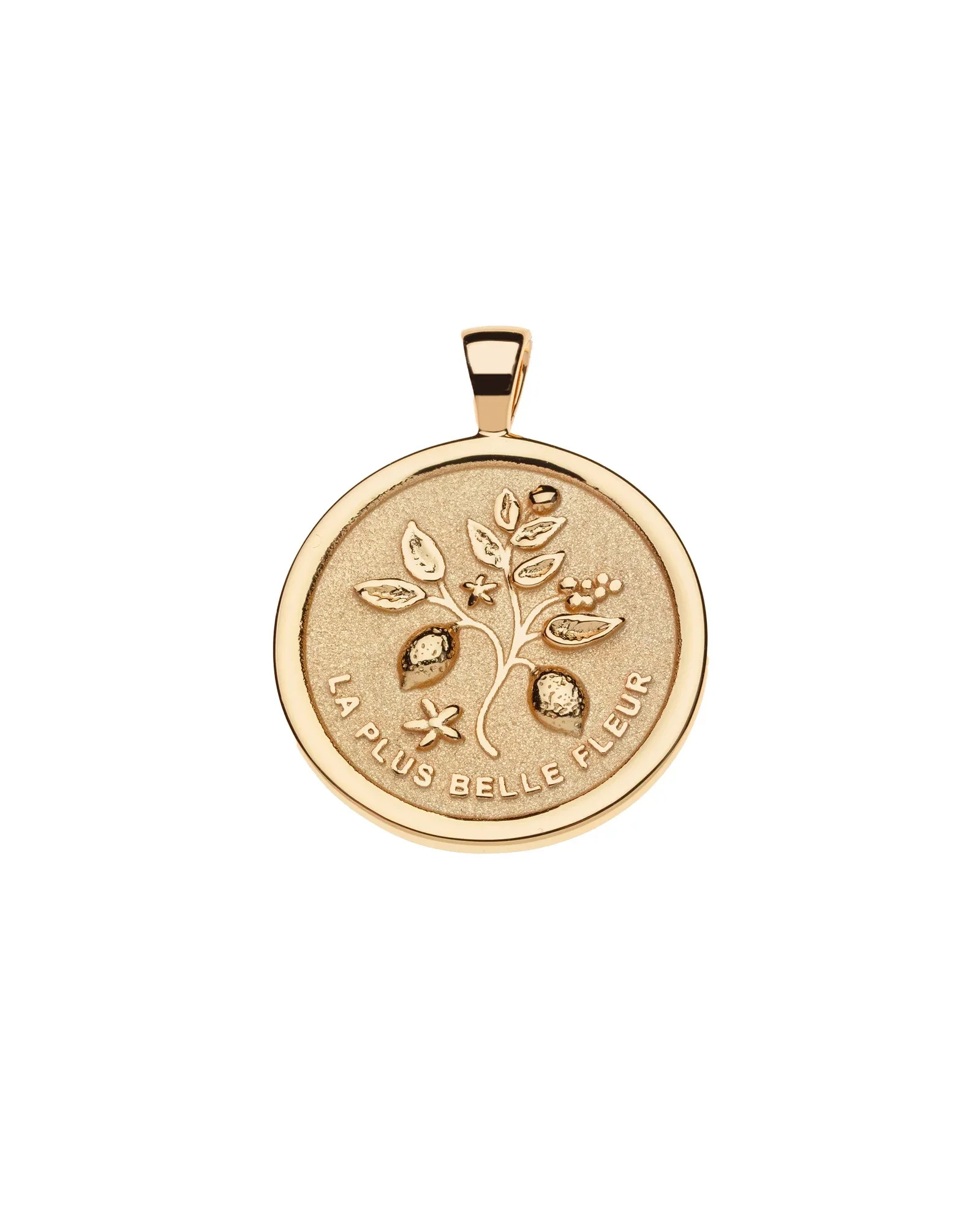 GRATITUDE JW Original Pendant Coin | Monarch Market