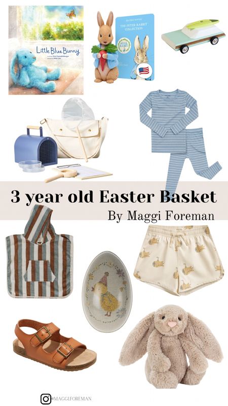 Easter basket inspo for a 3 year old toddler boy! So many fun items for spring and summer that he’ll be able to use for a long time 

#LTKfamily #LTKSeasonal #LTKkids