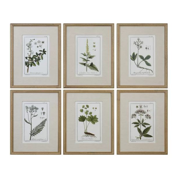 Uttermost 33651 Green Floral Botanical Study Six Piece Framed Print Set By Grace Feyock - - Walma... | Walmart (US)