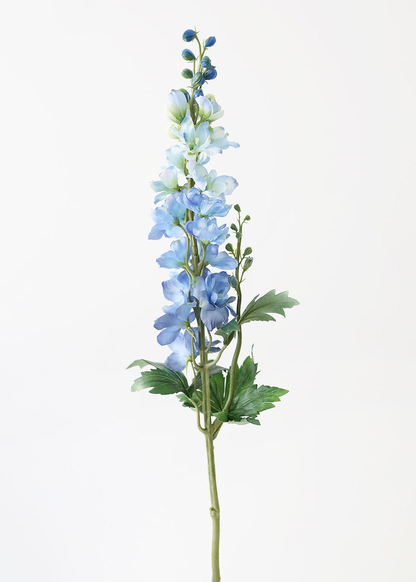 Blue Fake Larkspur Delphinium - 35 | Afloral (US)