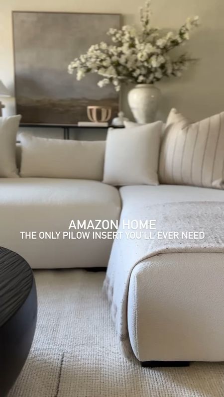 Amazon - Daily Home Finds - Pillow Inserts

#amazonhome #dailyfinds #homedecor #interiordesign #cljsquad #amazonhome #organicmodern #homedecortips


#LTKhome #LTKVideo #LTKsalealert