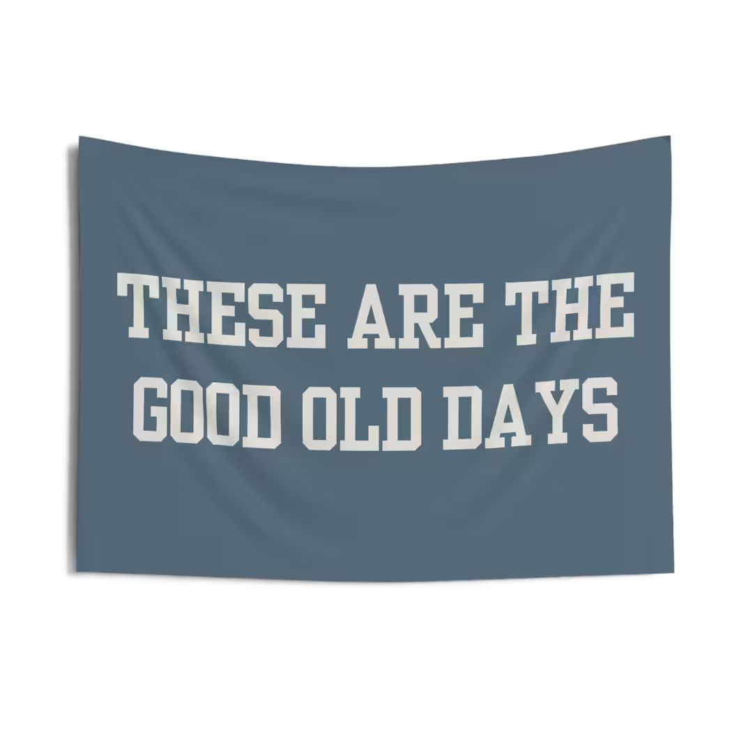 These are the Good Old Days, Blue wall Banner,  Playroom decor for kids, Wall banner for kids roo... | Etsy (US)