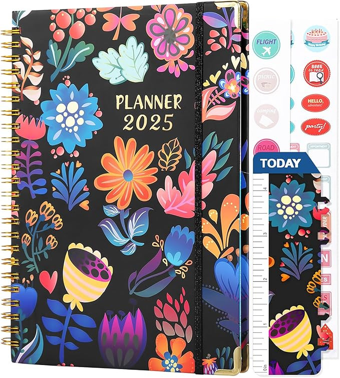 2025 Monthly Weekly Planner, 1 Year Monthly Planner 12 Months Appointment Book Agenda & Large Siz... | Amazon (CA)