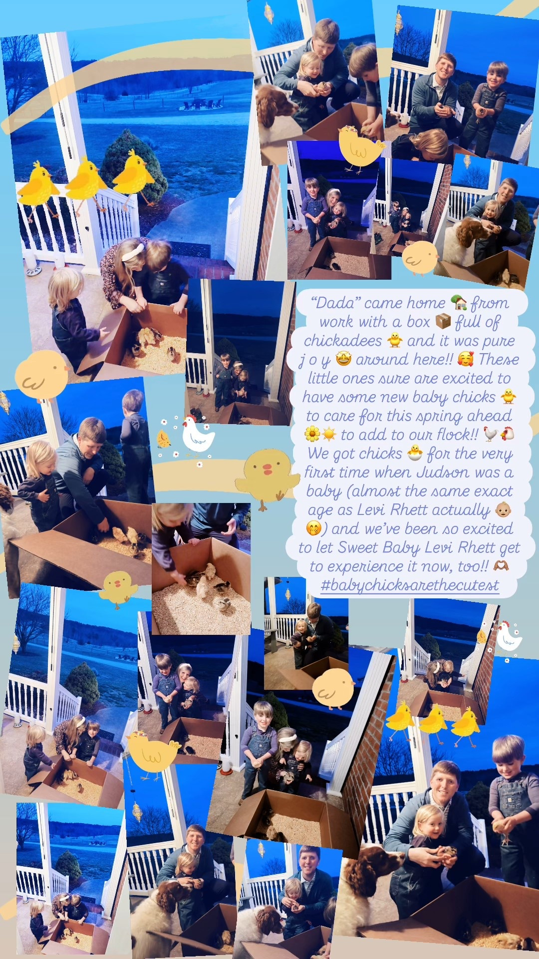 “Dada” came home 🏡 from work with a box 📦 full of chickadees 🐥 and it was pure  j o y 🤩 around here!! 🥰 These little ones sure are excited to have some new baby chicks 🐥 to care for this spring ahead 🌼☀️ to add to our flock!! 🐓🐔 We got chicks 🐣 for the very first time when Judson was a baby (almost the same exact age as Levi Rhett actually 👶🏼🤭) and we’ve been so excited to let Sweet Baby Levi Rhett get to experience it now, too!! 🫶🏽 #babychicksarethecutest 