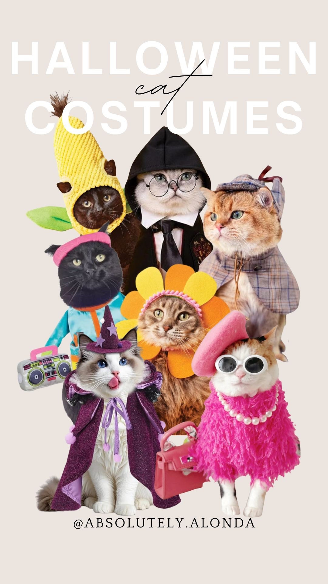 The cutest roundup of Halloween pet costumes: cat edition.

#LTKSeasonal #LTKPets #LTKParties