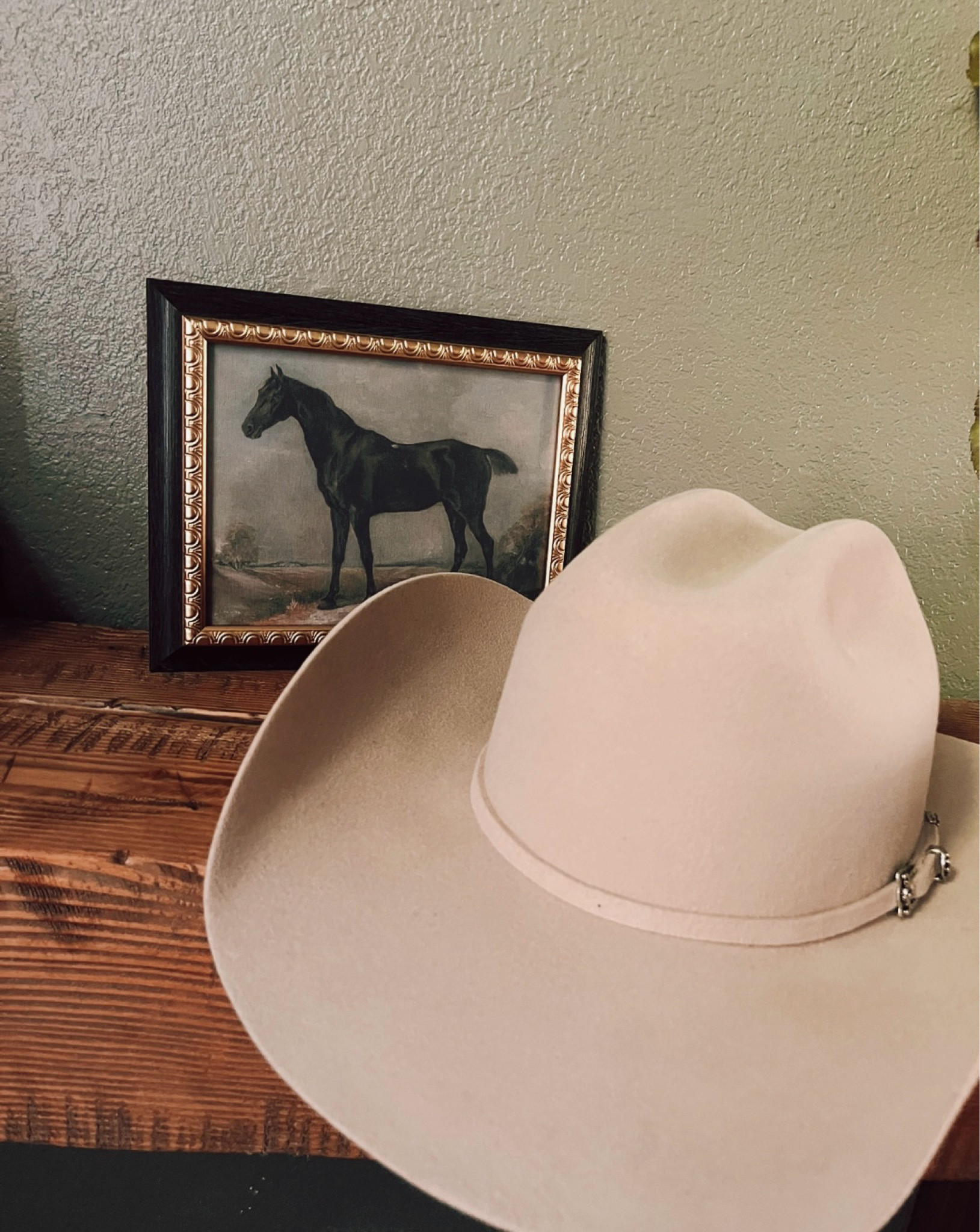 Target Stallion painting $12 

#LTKHome #LTKFindsUnder50