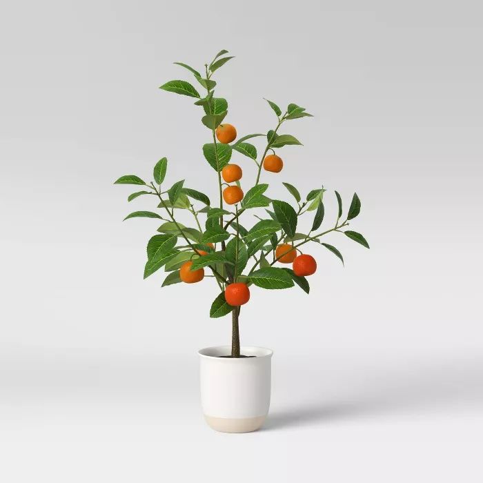 Artificial Citrus Floral Plant in Ceramic Pot White - Threshold™ | Target