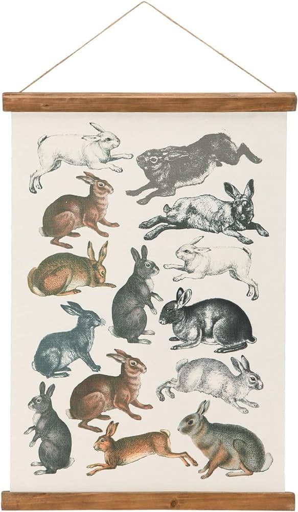 Vintage Rabbit Species Canvas Scroll Wall Decor Linen Poster, Easter Bunny Canvas Art Print Hangi... | Amazon (US)