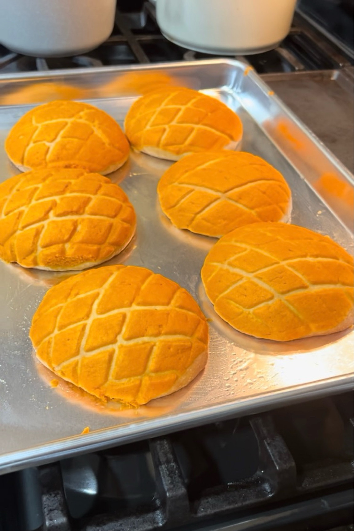 Conchas 🎃🧡

#LTKHoliday #LTKSeasonal #LTKHome