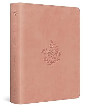 ESV Single Column Journaling Bible (TruTone, Pink, Wildflower Design): Holy Bible, English Standa... | Amazon (US)