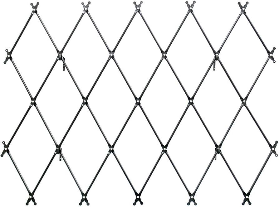 Minuteman International Wall Mounted Lattice Trellis, Graphite Powdercoat Finish | Amazon (US)