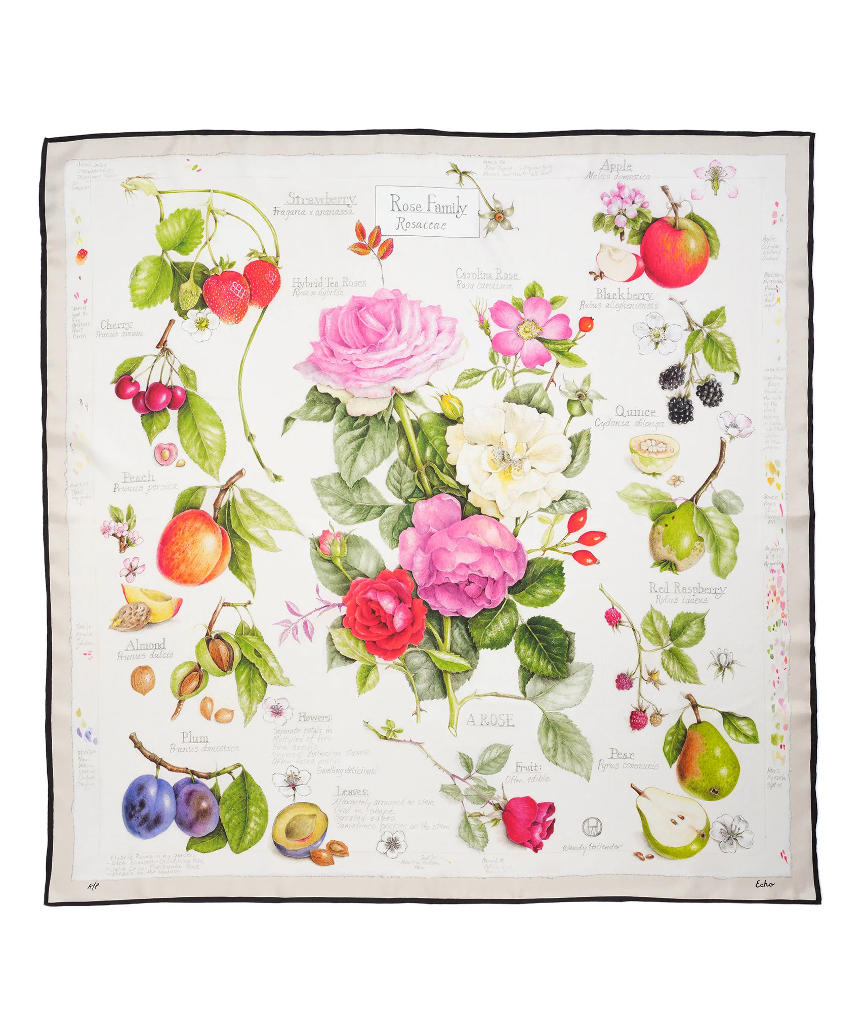 Limited-Edition Silk Scarf by Wendy Hollender | Echo100 | Echo New York