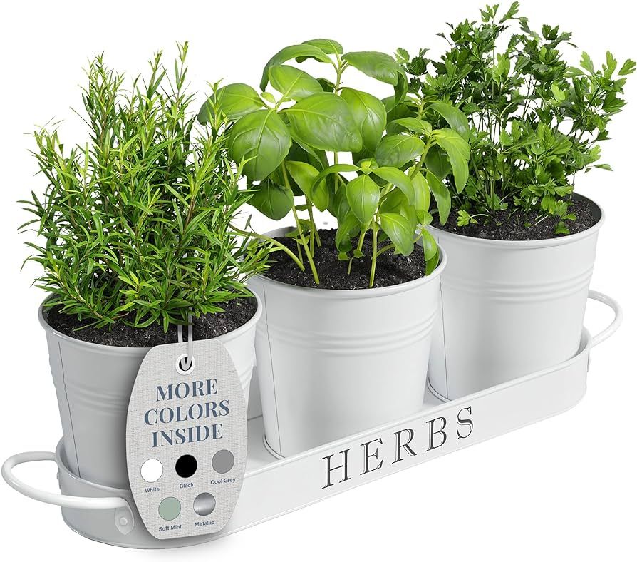 Barnyard Designs Indoor Herb Garden Planter Set with Tray, Metal Windowsill Plant Pots with Drain... | Amazon (US)