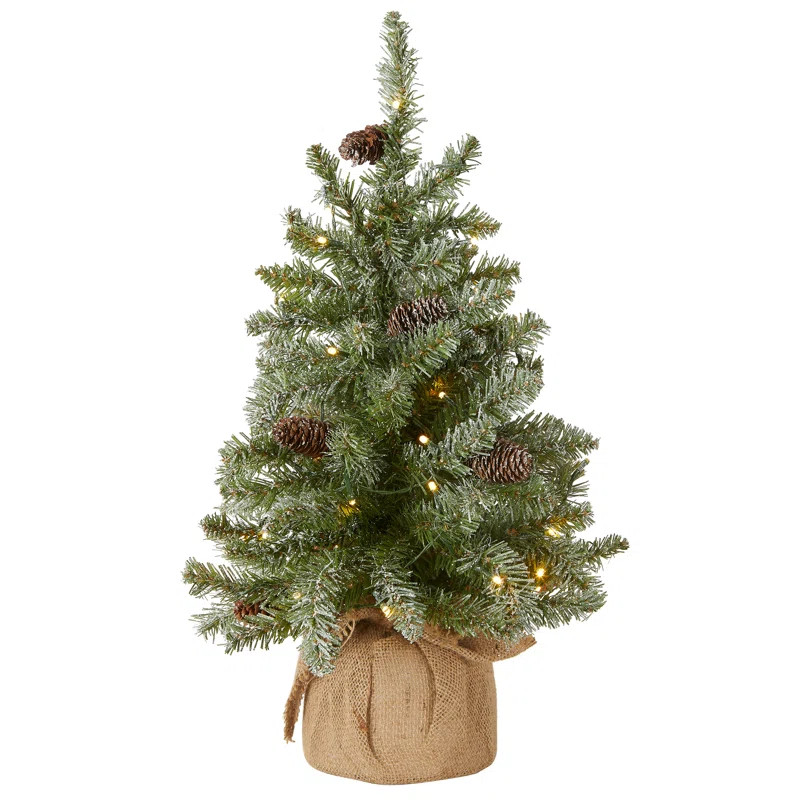 The Holiday Aisle® Snowy Concolor Fir Tree with LED Lights & Reviews | Wayfair | Wayfair North America
