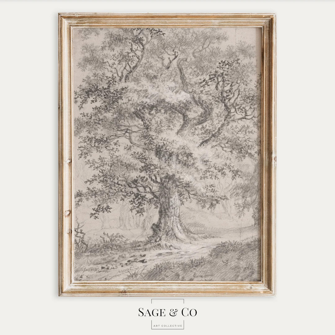 Vintage European Rustic Neutral Oak Tree Pencil Sketch Drawing | DIGITAL DOWNLOAD | Instant PRINT... | Etsy (US)