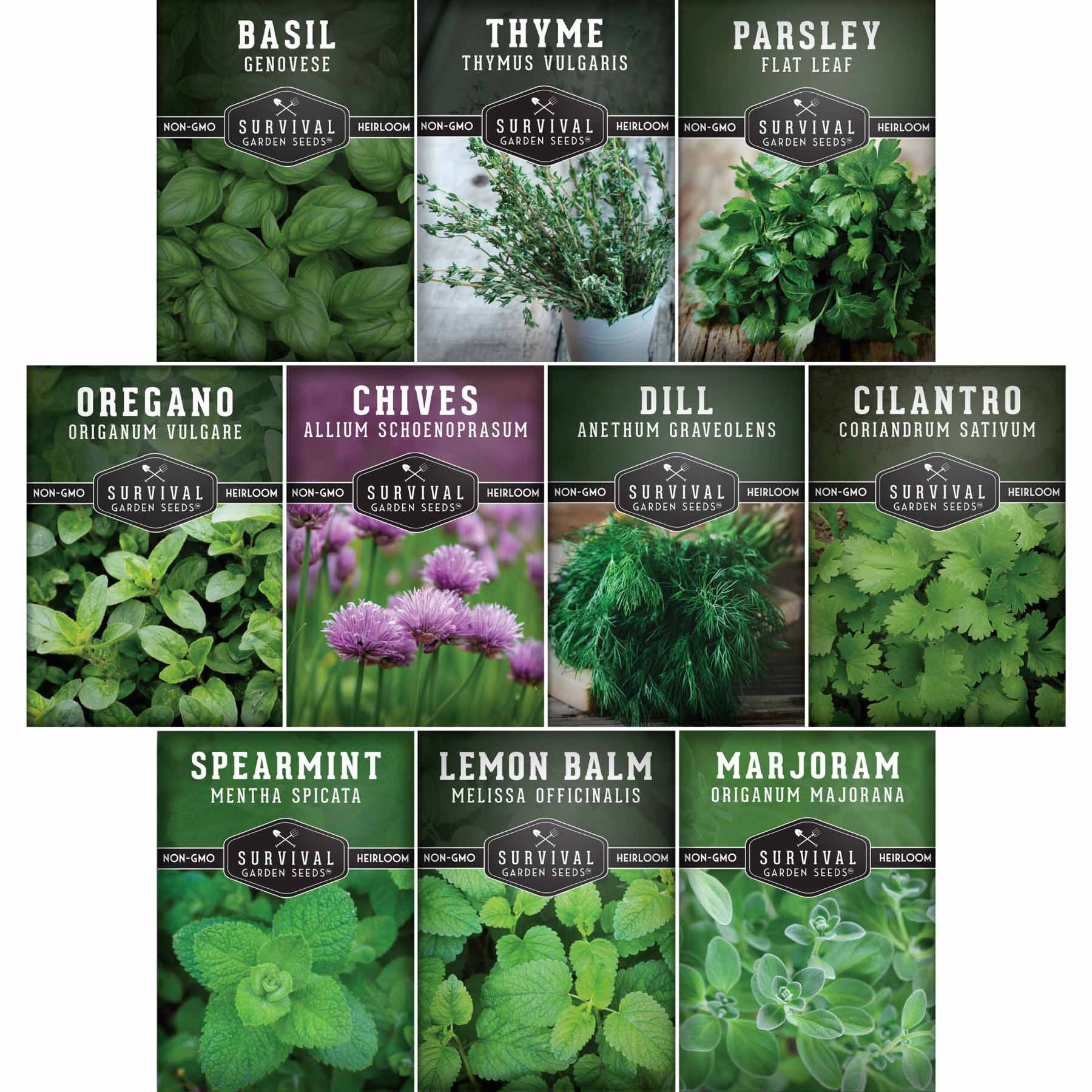 Survival Garden Seeds Indoor Herb Garden 10 Packet Seed Collection for Windowsills | HERBINDOORCOLLEC | Lowe's