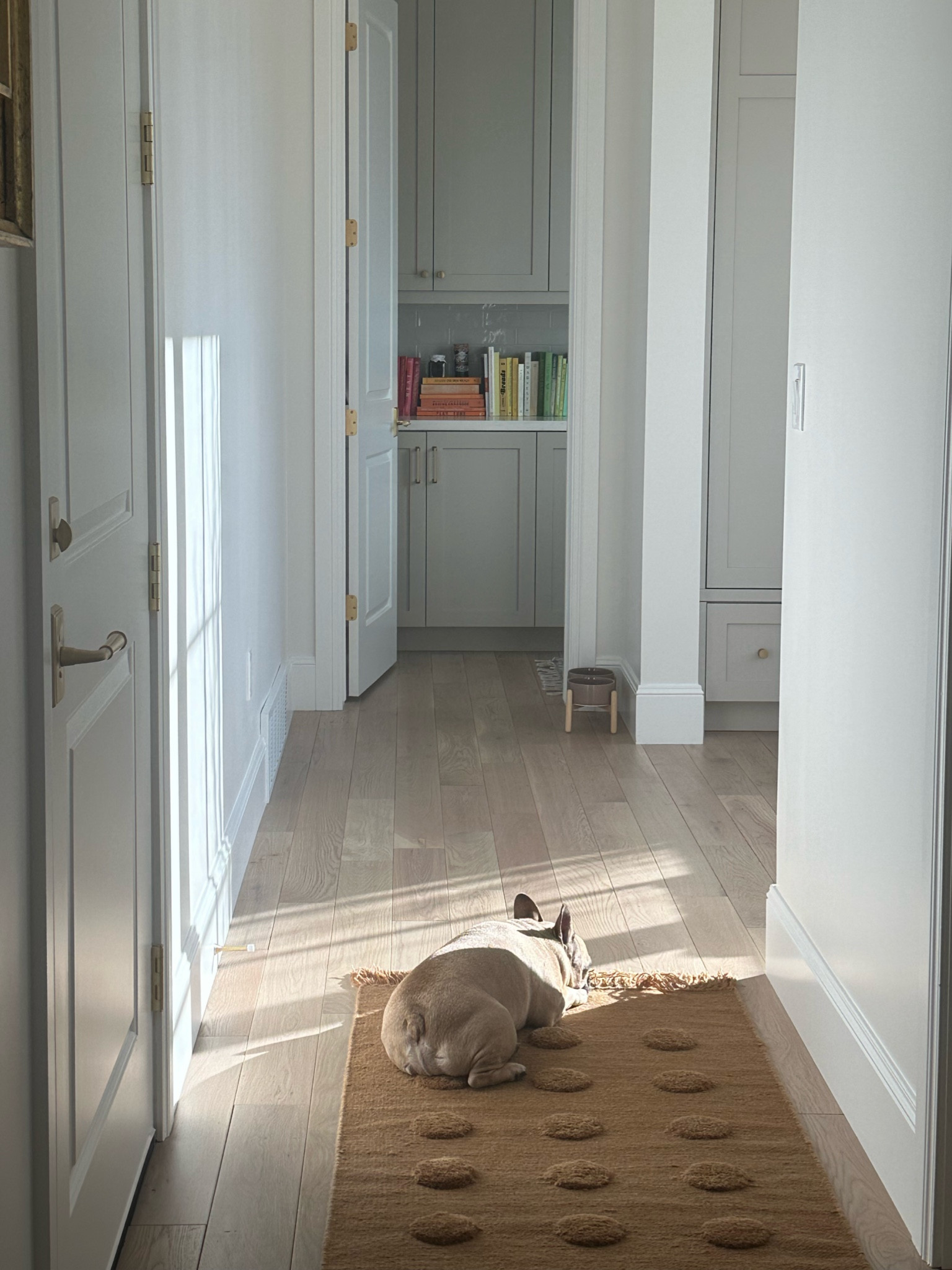 butter’s favorite runner 

#LTKHome