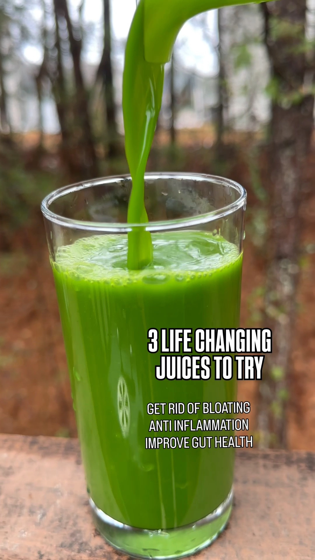 The LIFE CHANGING juicer! 🍎🥒✨

Give the gift that will change YOUR life and your family’s life! Fresh juice, more fruits and veggies, and healthier habits made easier right at home. This is the gift that keeps on giving!

#JuicingWithPriiincesss #NamaJ2 #HealthyHabits #LTKFinds

#LTKHome #LTKfoodie #LTKselfcare