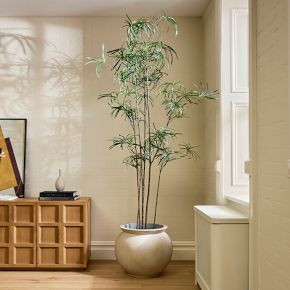 Faux Potted Australian Bottleneck Tree | West Elm (US)