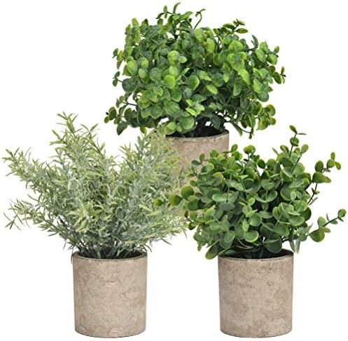 Mini Potted Fake Plants  | Amazon (US)
