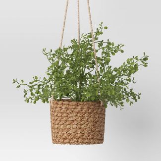 Faux Mini Money Leaves in Woven Pot Wall Sculptures Green - Threshold™ | Target