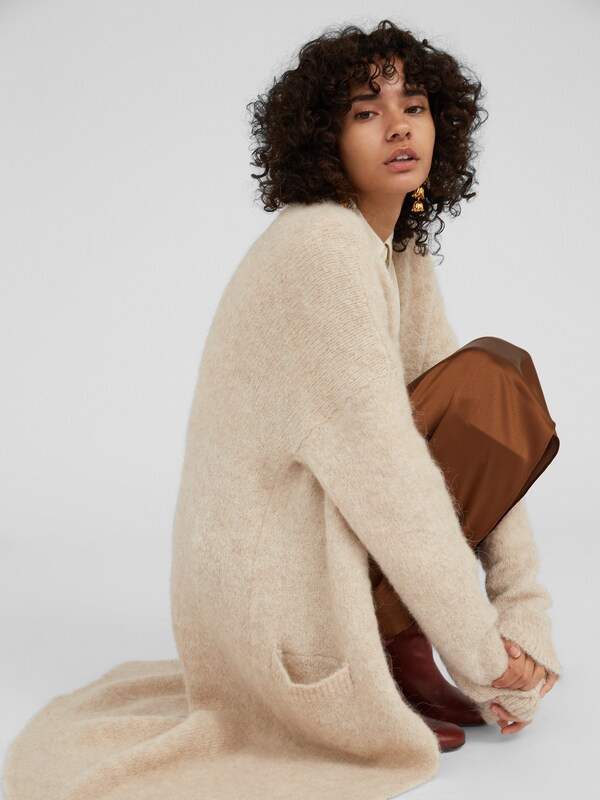 EDITED Cardigan 'Caesar' in beige | ABOUT YOU (DE)