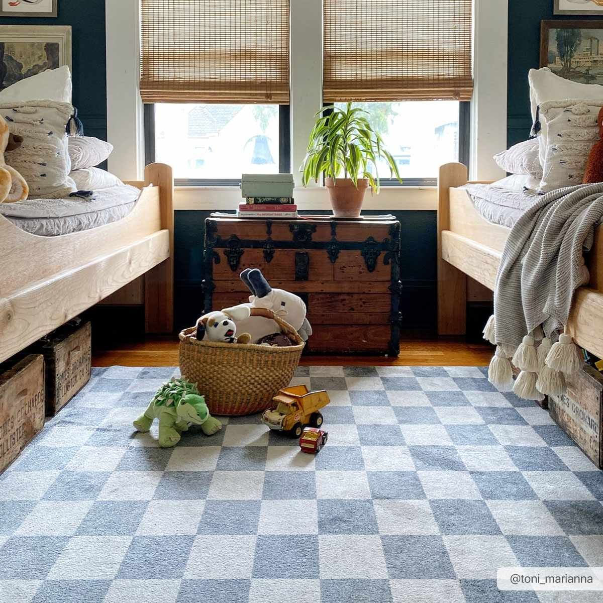 Alie Blue Checkered Area Rug | Boutique Rugs