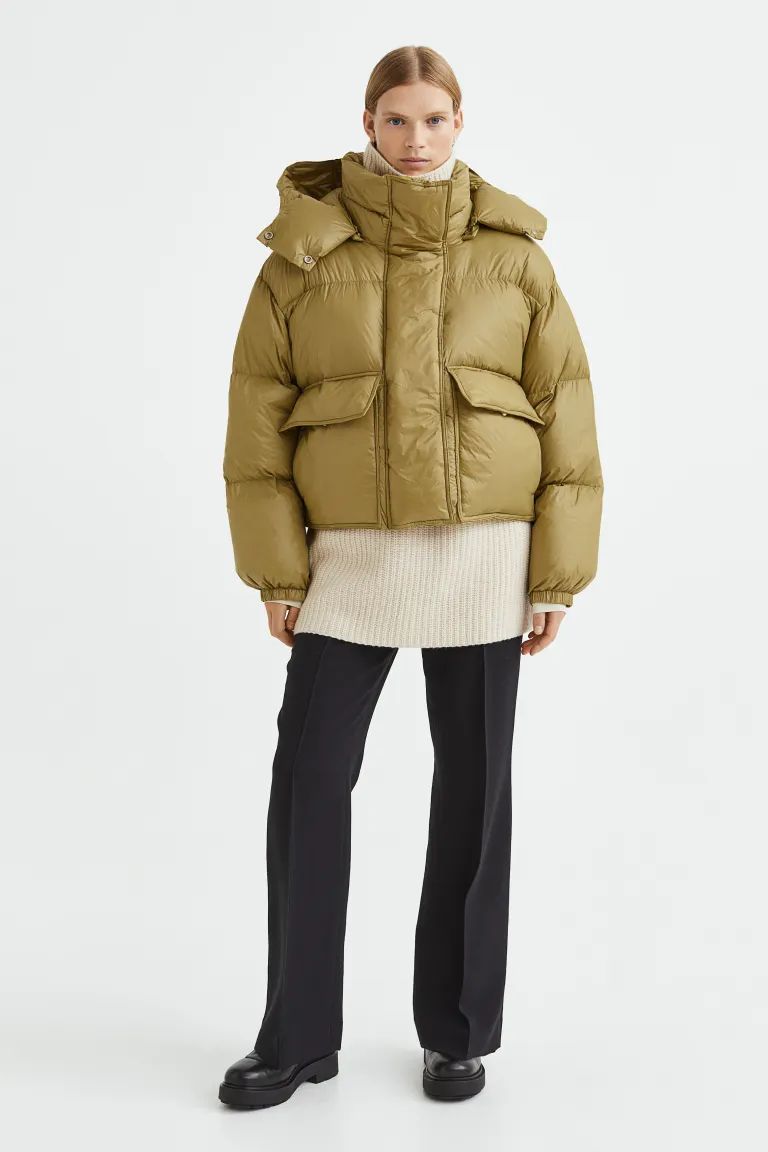 Hooded Down Jacket | H&M (US + CA)