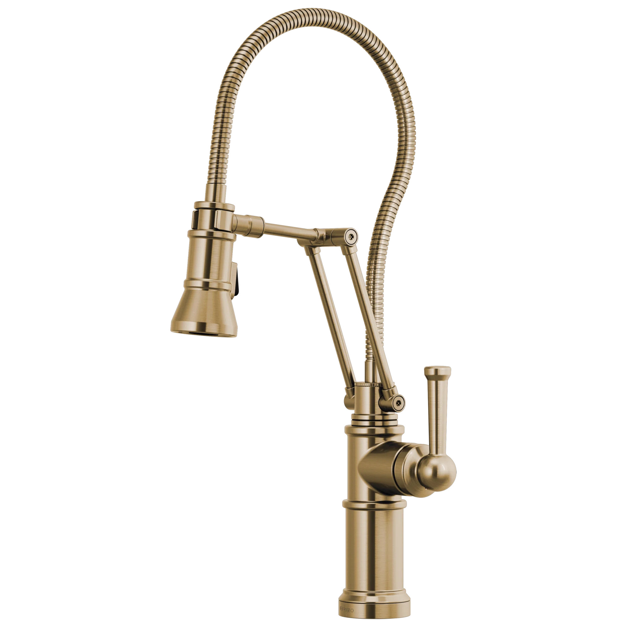 Artesso® Articulating Single Handle Kitchen Faucet With Finished Hose 63125LF-GL | Wayfair North America