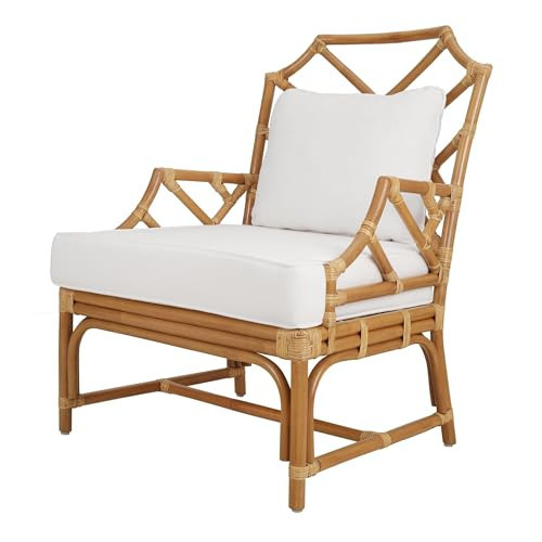 New Pacific Direct Kara 17.5" Rattan and Cotton Accent Arm Chair in Canary Brown | Amazon (US)