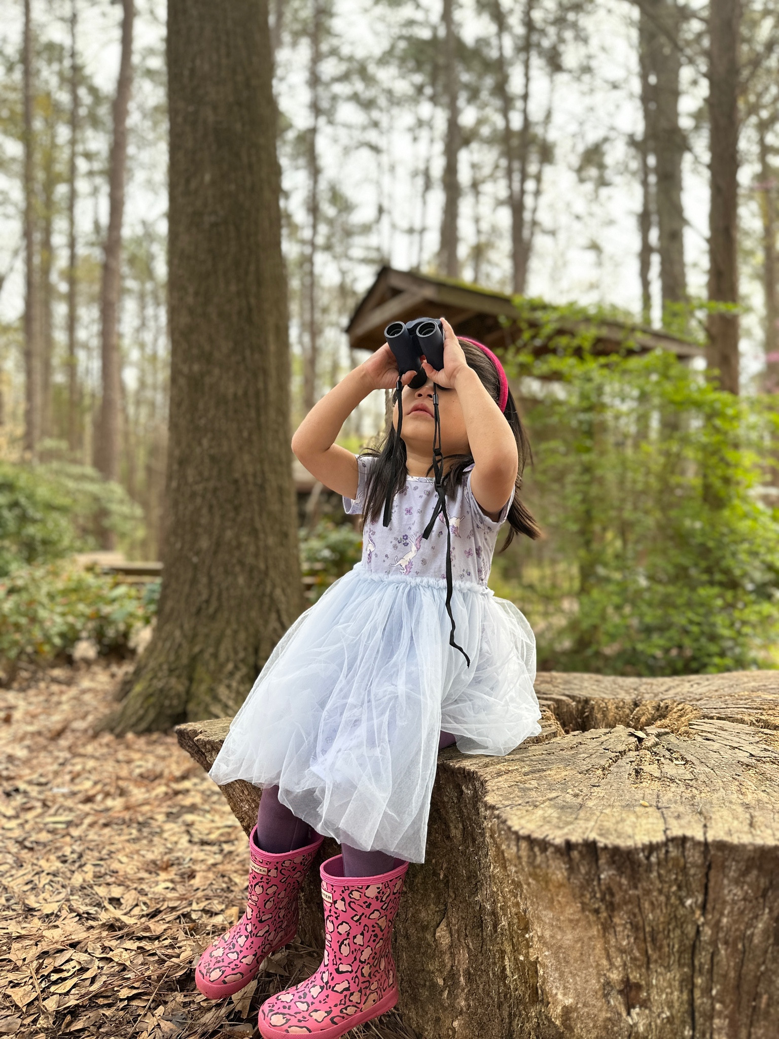 Our favorite leggings are on sale! $16 solid leggings when you buy 2+ with code TEALEGGINGS

Bird watching with this sweet tulle dress! 

#LTKkids #LTKfamily