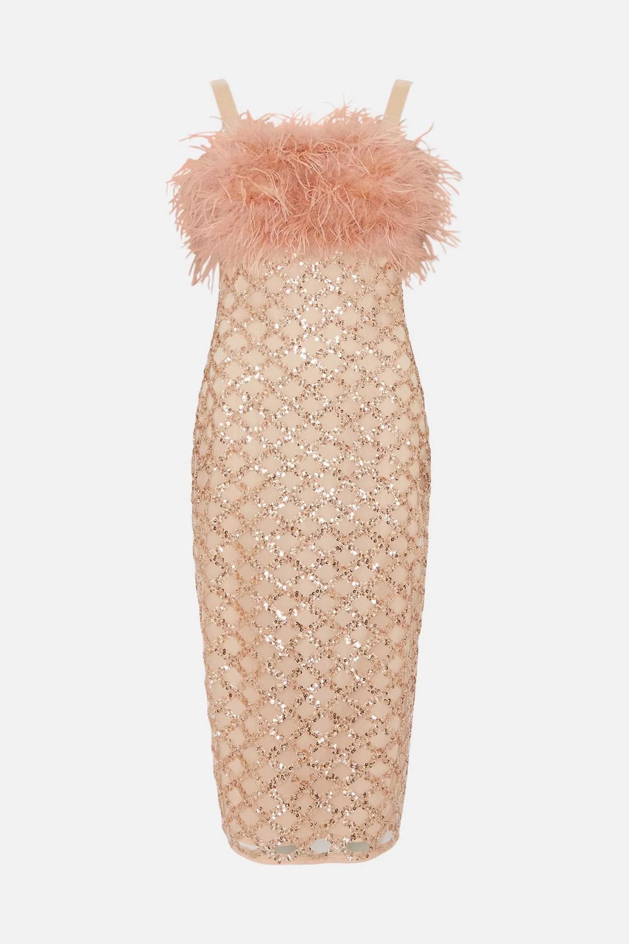 Sequin Midi Dress With Feather Trim​ | Coast UK & IE