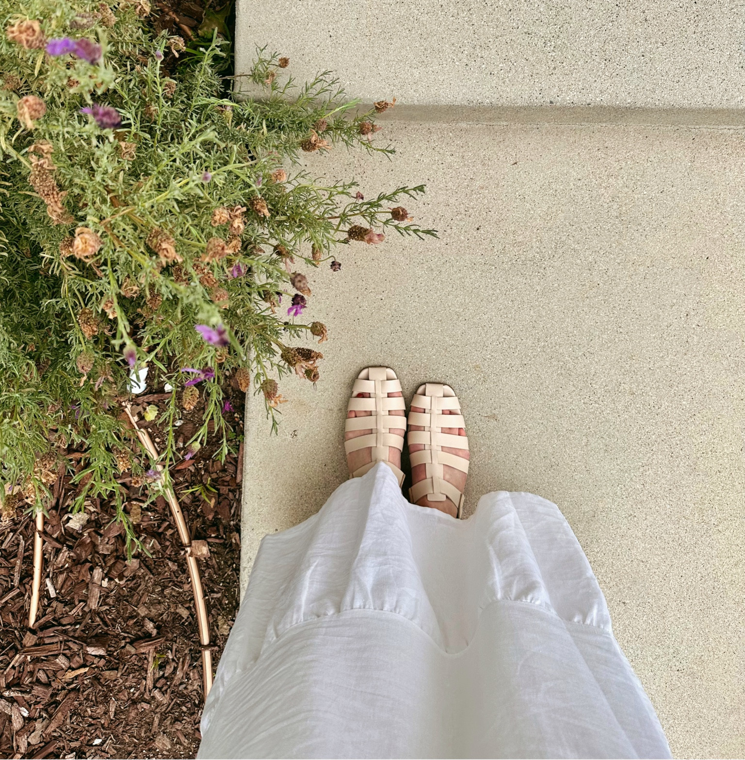 hopped on the fisherman sandal trend 🎣

#LTKshoecrush #LTKSeasonal #LTKFind