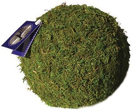 SuperMoss (21657) Moss Ball, Fresh Green, 6" | Amazon (US)