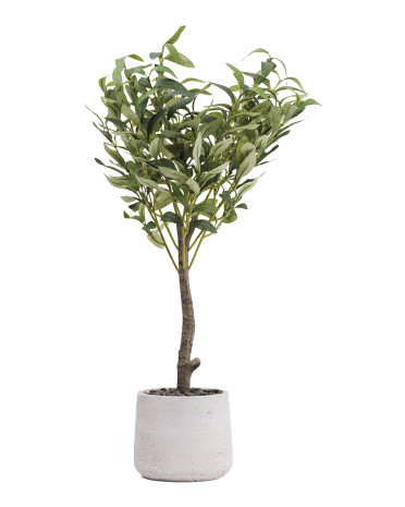 24in Olive Tree In Faux Stone Pot | TJ Maxx