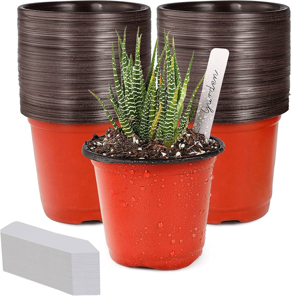 TDHDIKE 4" Small Plastic Plant Nursery Pot/Pots (100pcs Pots and 100pcs Plant Labels) Seedlings F... | Amazon (US)