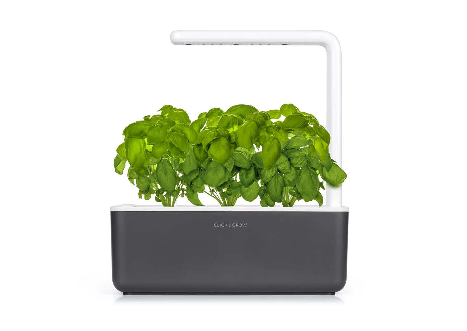 Click and Grow Smart Garden 3 Indoor Plant in Grey N/A Lord & Taylor | Lord & Taylor