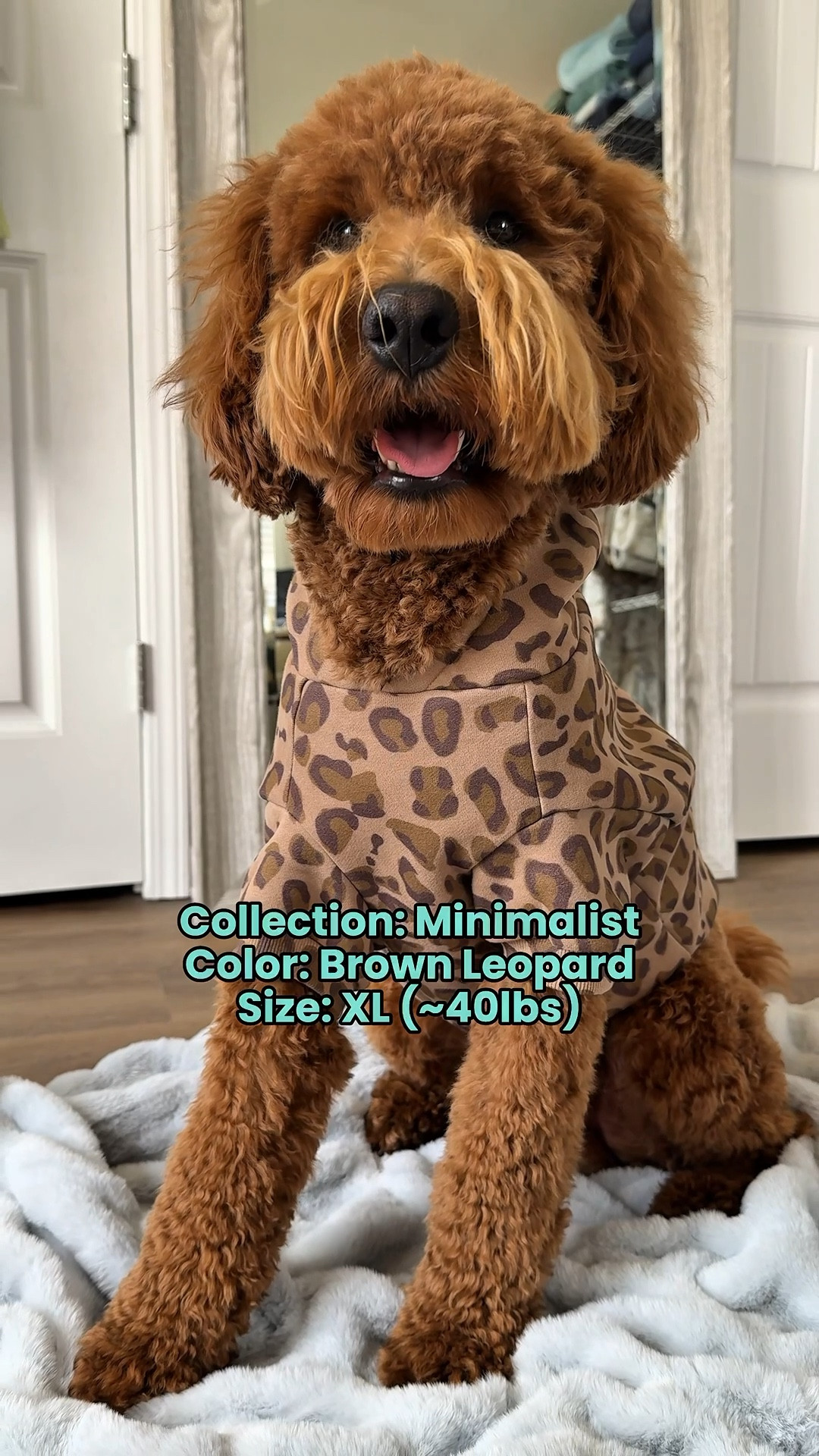 Be responsible, they said. Don’t hesitate, they meant. 😵‍💫🫠

#comfrt #twinning #dogclothing #doghoodie #hoodieseason #fallfashion #winterfashion #comfycasual 

#LTKStyleTip #LTKSeasonal #LTKPets