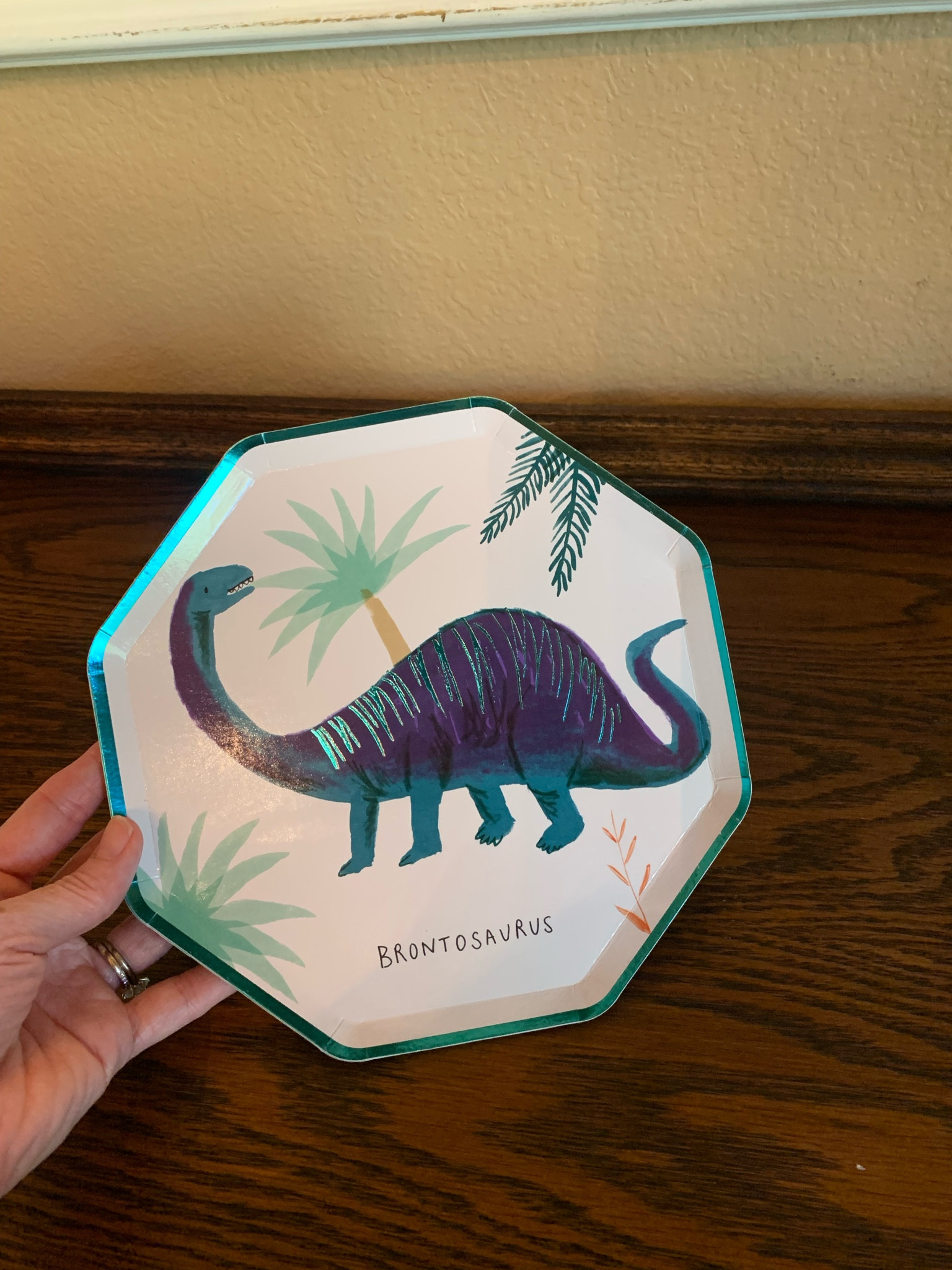 The cutest dinosaur plates! Comes in set of 8. 8 different dinosaurs. Colors are primary and gender neutral. 

#kidsparty #kidsbirthday #dinosaurs

#LTKfamily #LTKkids #LTKbaby