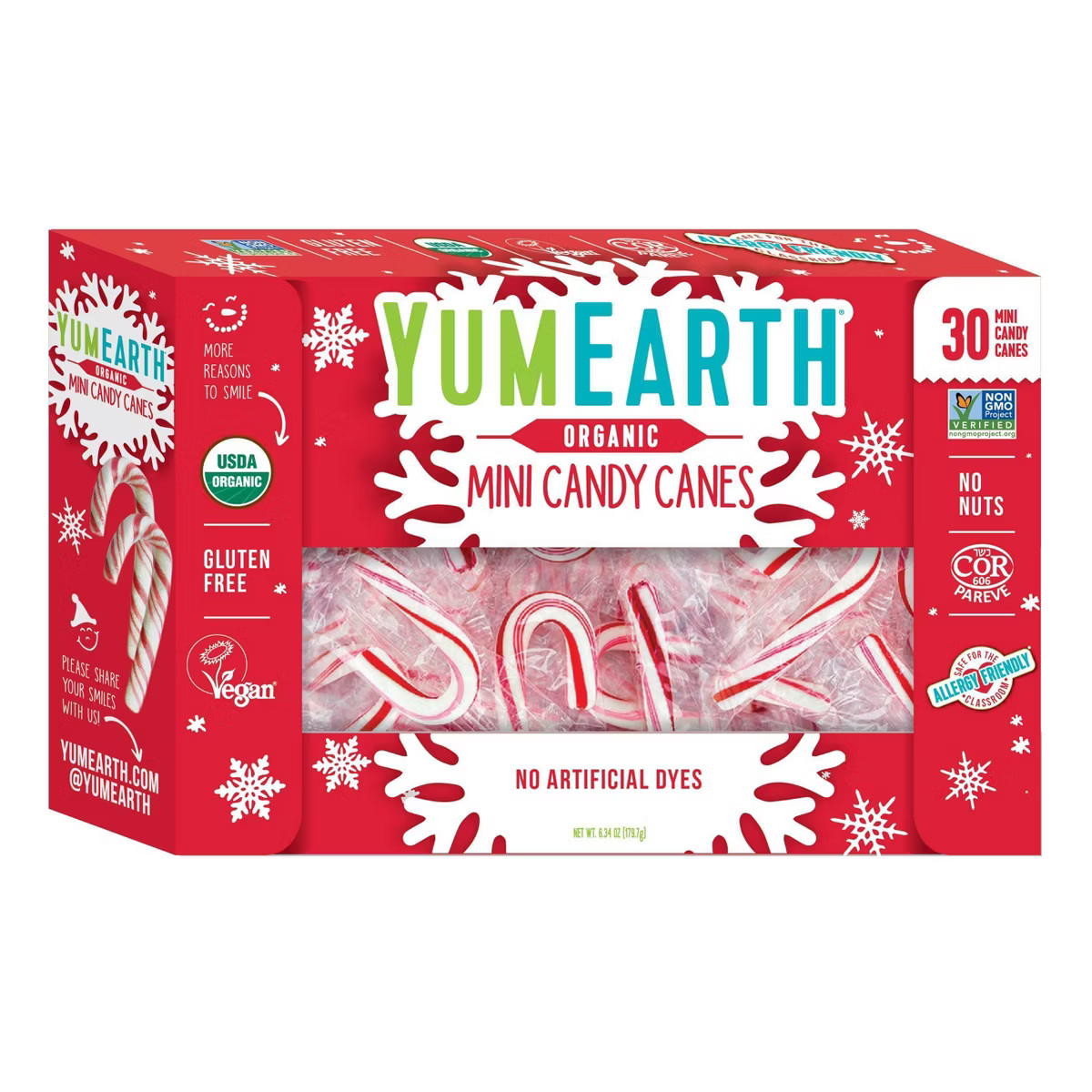 Yum Earth Christmas Mini Candy Canes - 6.34oz/30ct | Target