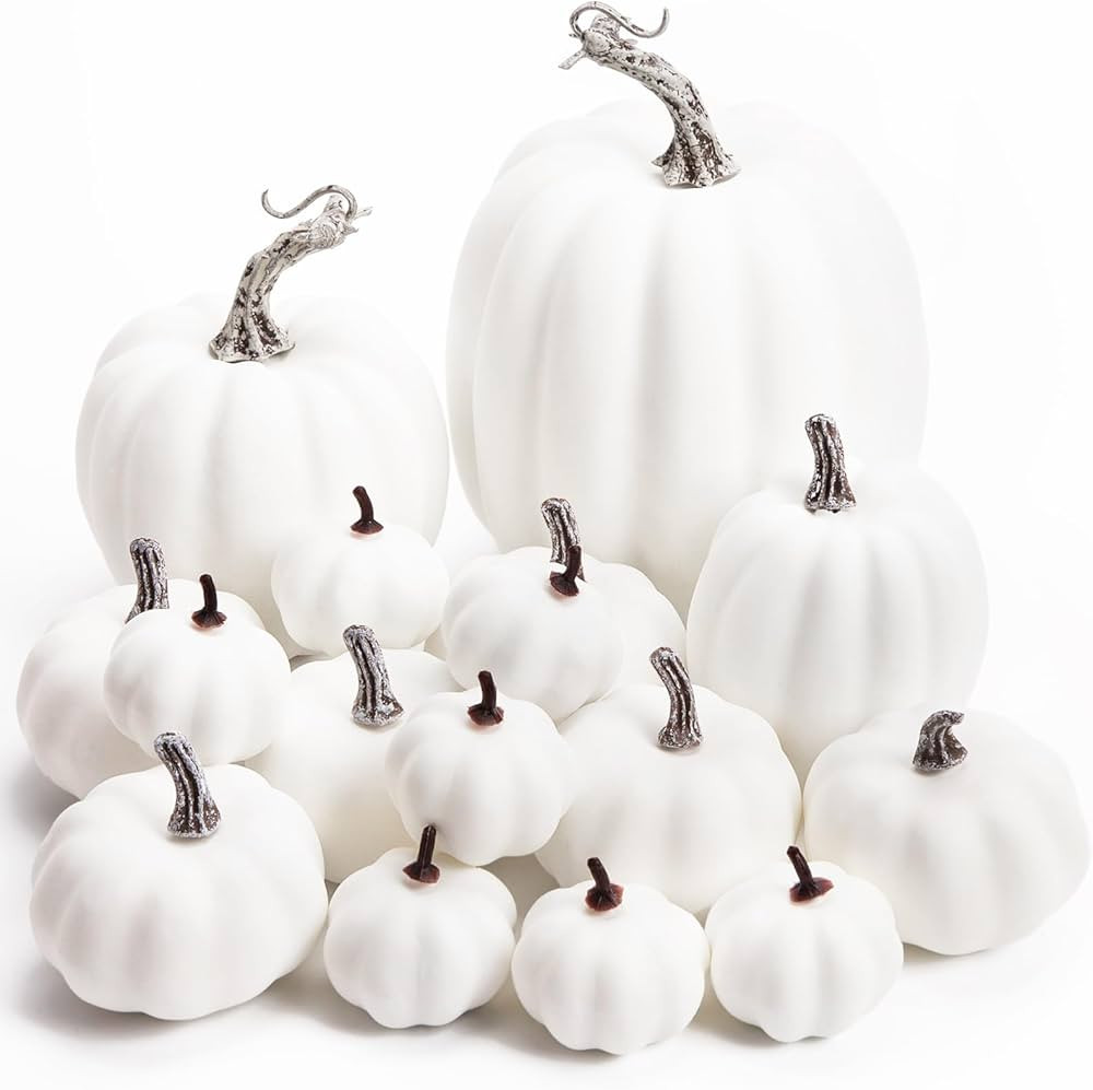 DomeStar 16PCS Artificial White Pumpkins, Assorted Sizes Fake Faux Rustic Harvest Farmhouse Pumpk... | Amazon (US)