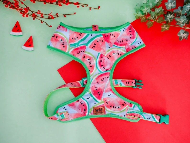 Blue Watermelon Dog harness vest, Cute Boy dog harness, Green Small dog harness, Custom Puppy har... | Etsy (US)