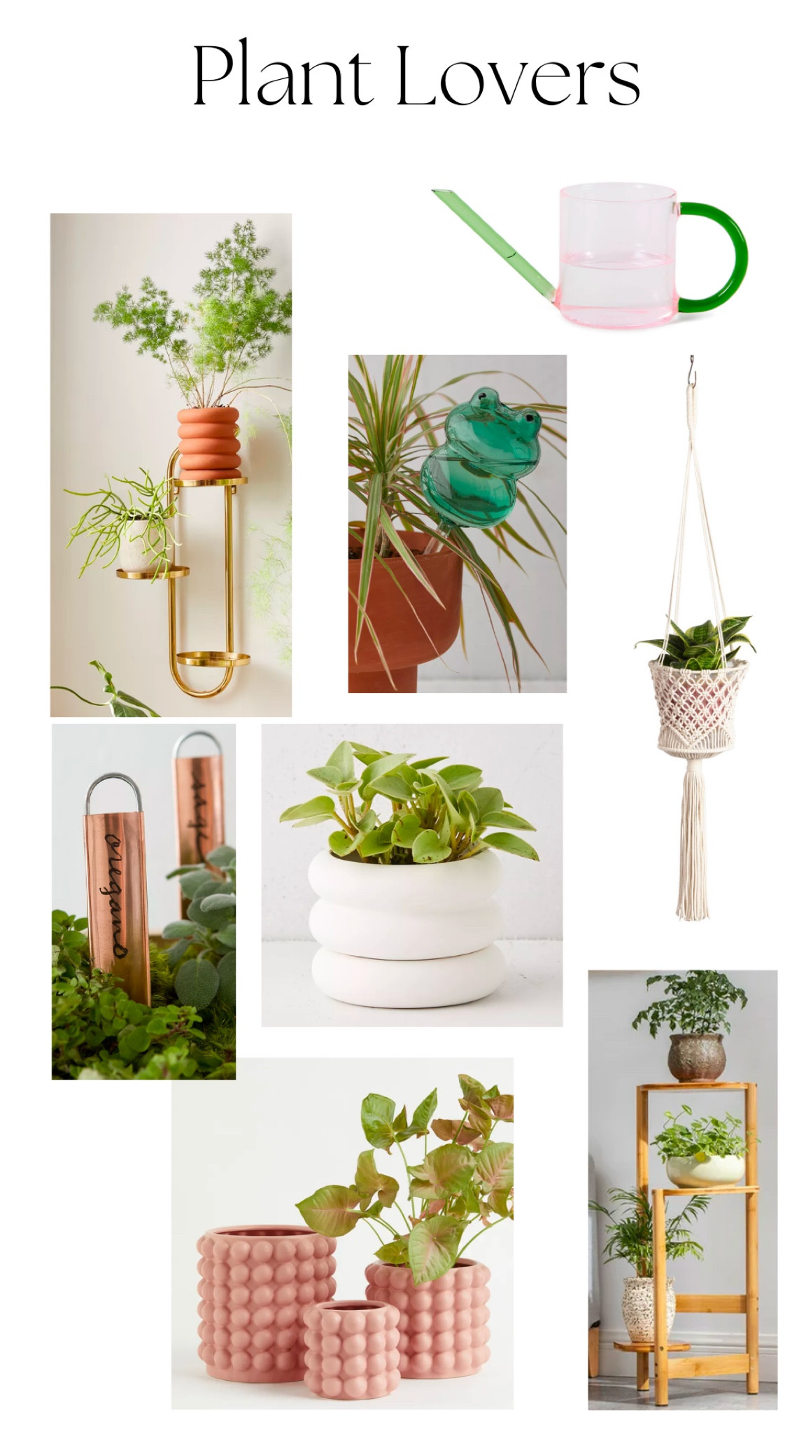 Plant lovers gift guide! 🌿

#LTKSeasonal #LTKhome #LTKGiftGuide