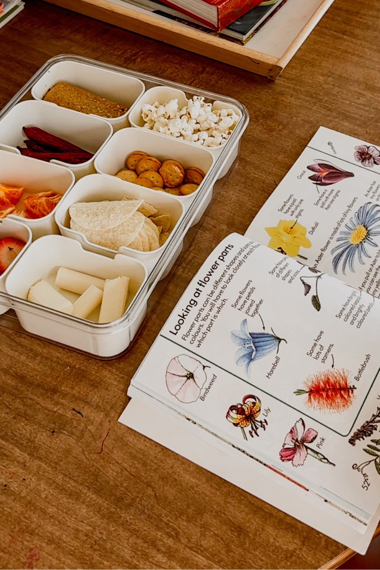 This snack tray 👏👏 a must have for mamas of littles!

#LTKfindsunder50 #LTKparties #LTKhome