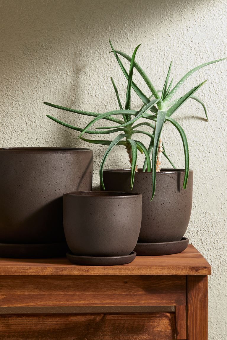Terracotta Plant Pot & Saucer - Dark brown - Home All | H&M US | H&M (US + CA)
