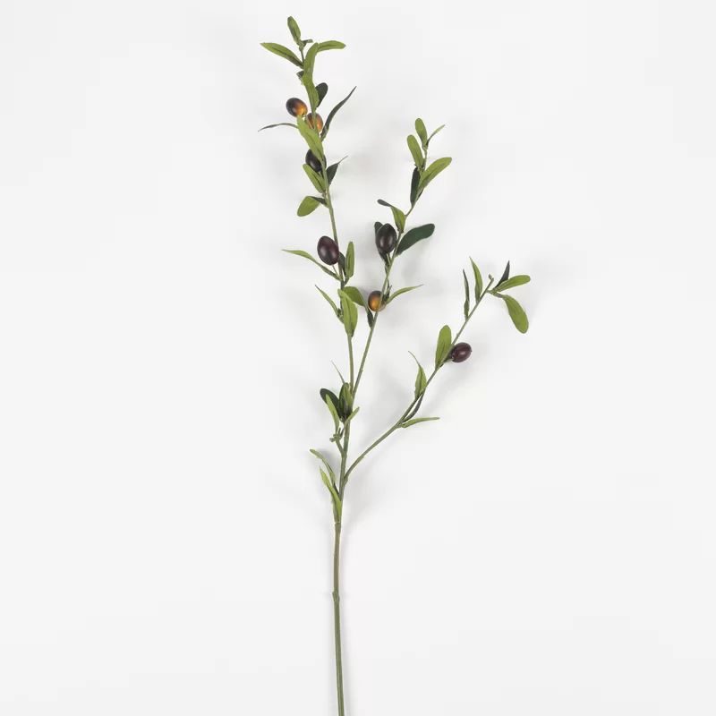 4 Piece Decor Olive Branch (Set of 4) | Wayfair North America