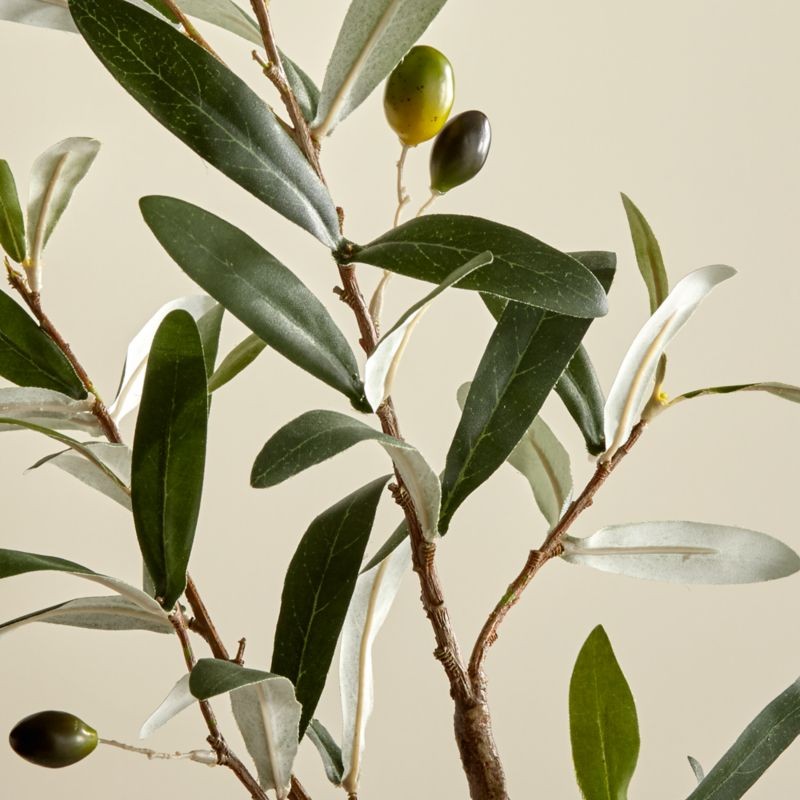 Artificial Olive Stem + Reviews | Crate and Barrel | Crate & Barrel