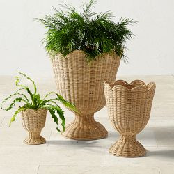 Woven Urn Planter Collection | Williams-Sonoma