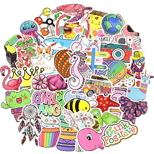Waterproof Stickers for Girls Stickers for Hydroflasks VSCO Stickers for Hydro Flask Stickers 100 Pack Cute Stickers for Water Bottles | Amazon (US)