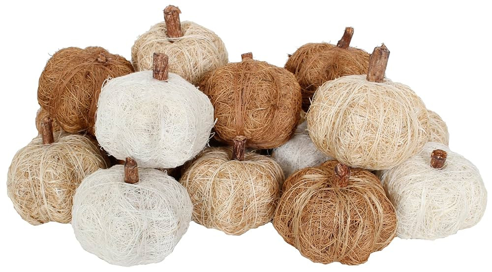 Dried Exotics Pumpkins 18 Pieces Assorted Bowl/Vase Filler for Fall, Thanksgiving and Holiday Dé... | Amazon (US)